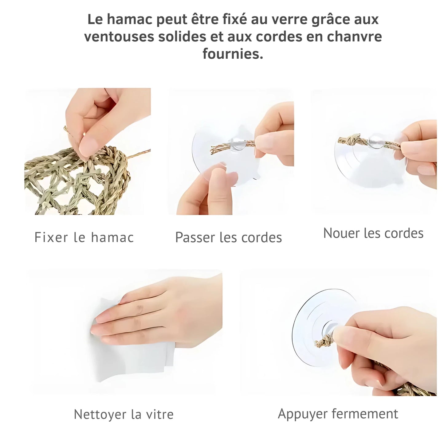 Hamac pour Reptile Ultra-Confort – Fibres Naturelles & Ventouses