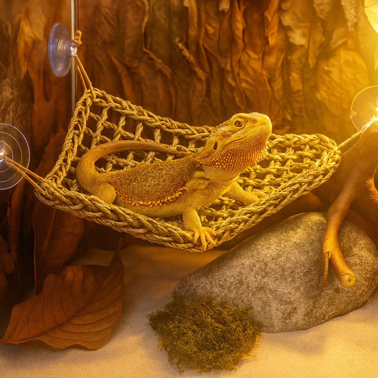Hamac pour Reptile Ultra-Confort – Fibres Naturelles & Ventouses