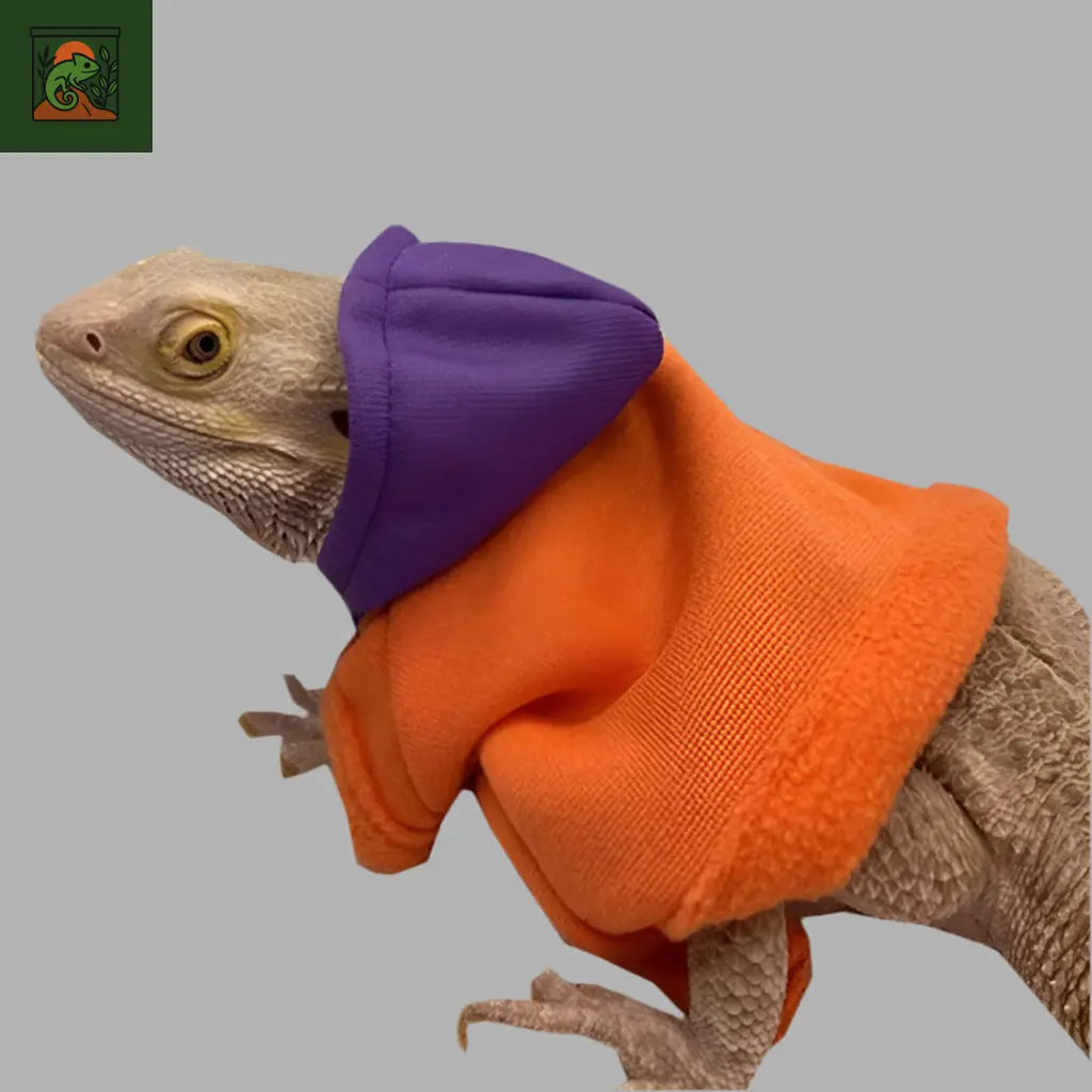 Hoodie pour Lézard