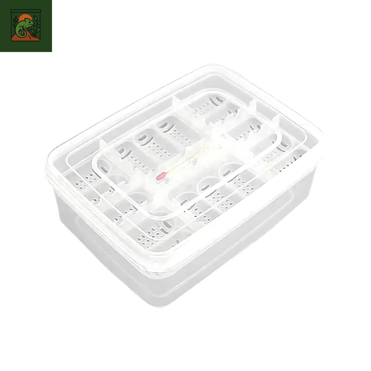Incubateur compact 16 œufs pour reptiles