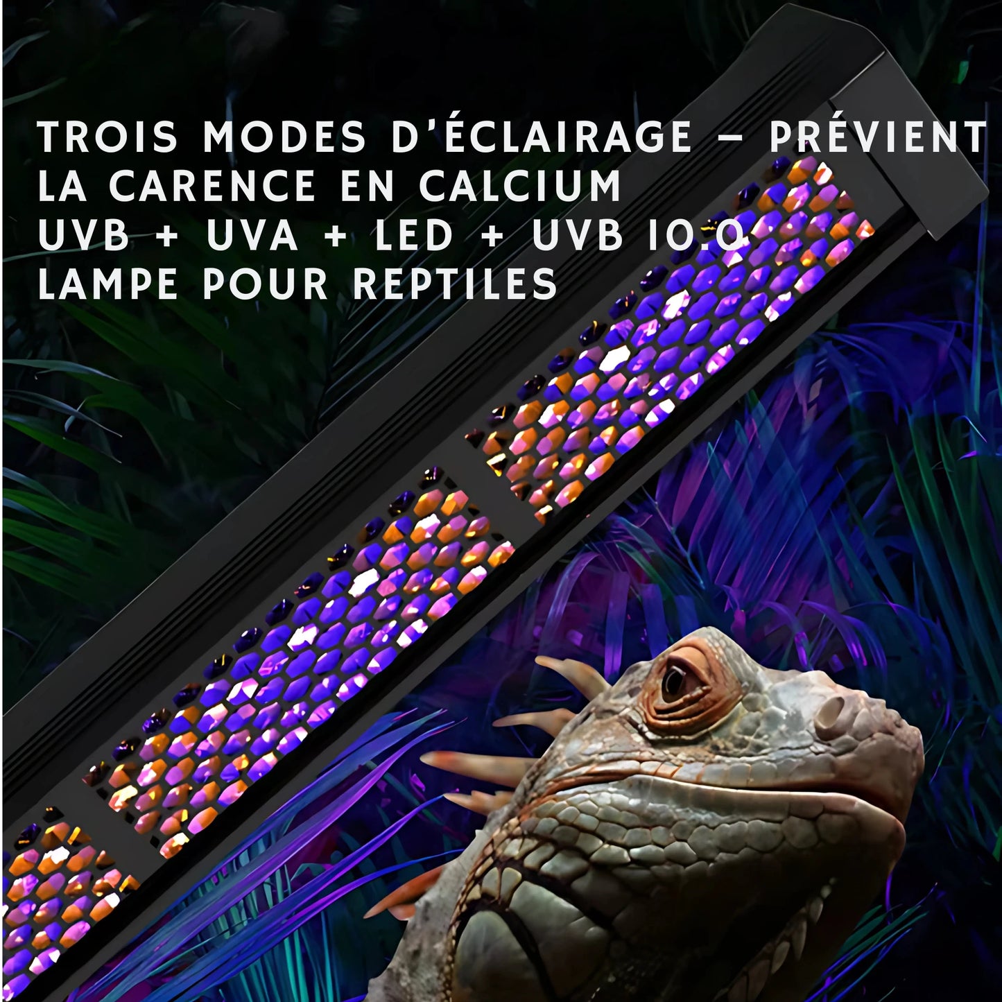 Lampe UVB 10.0 à Spectre Complet pour Terrarium