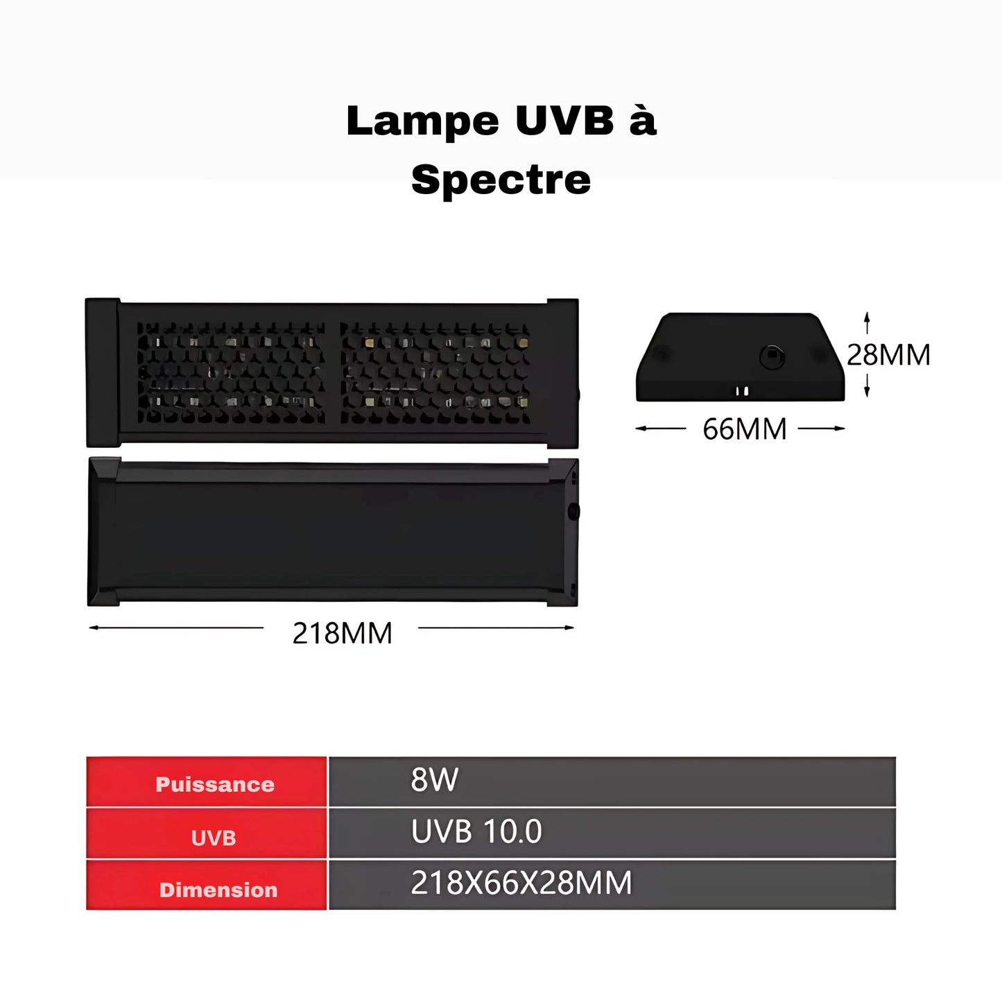 Lampe UVB 10.0 à Spectre Complet pour Terrarium