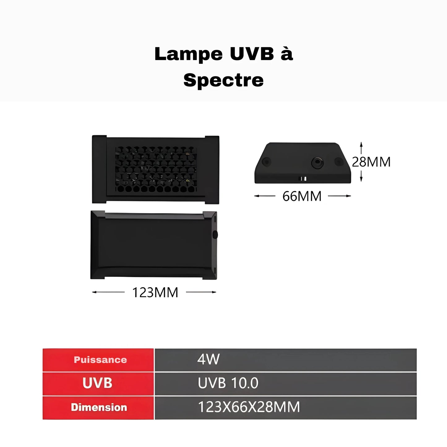 Lampe UVB 10.0 à Spectre Complet pour Terrarium