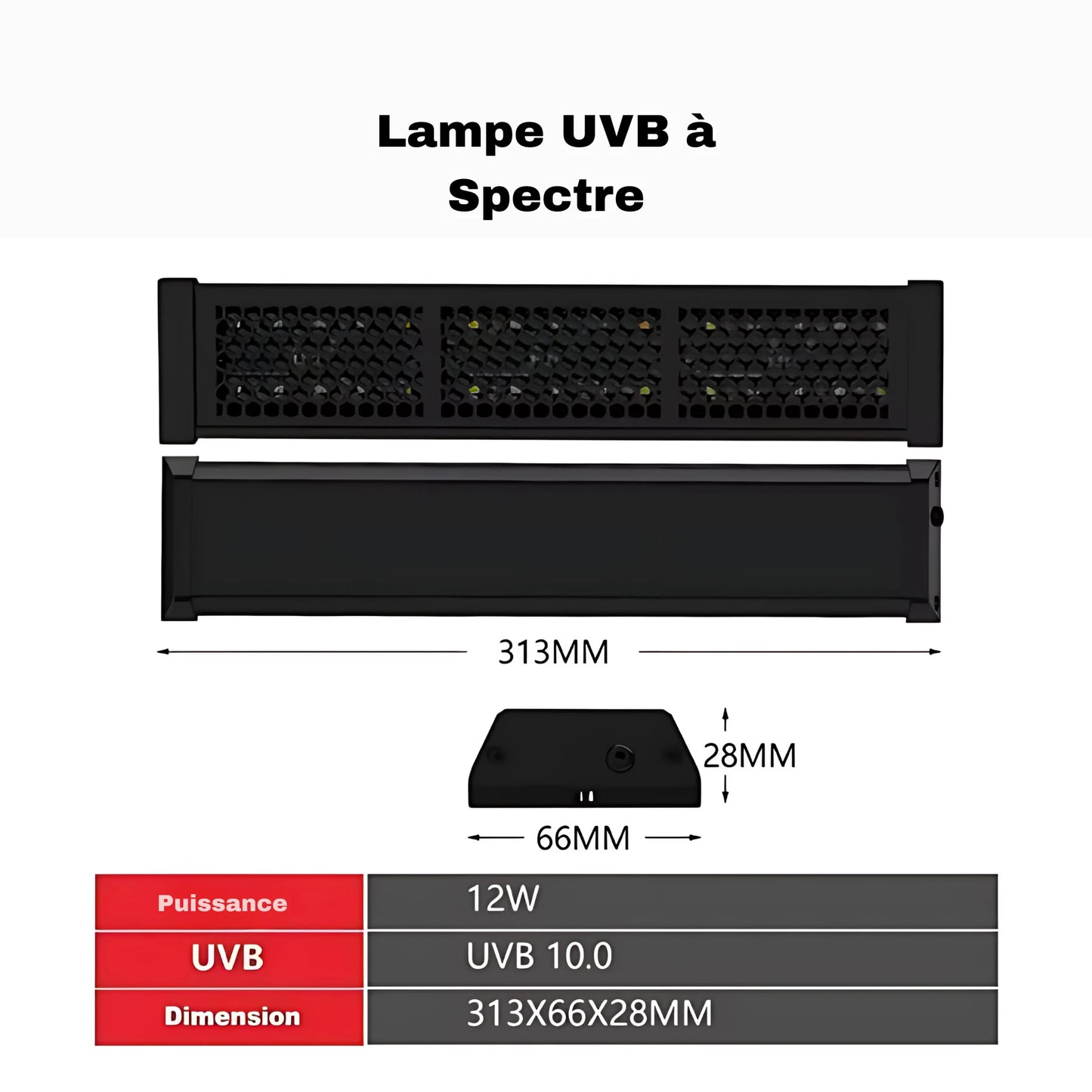 Lampe UVB 10.0 à Spectre Complet pour Terrarium