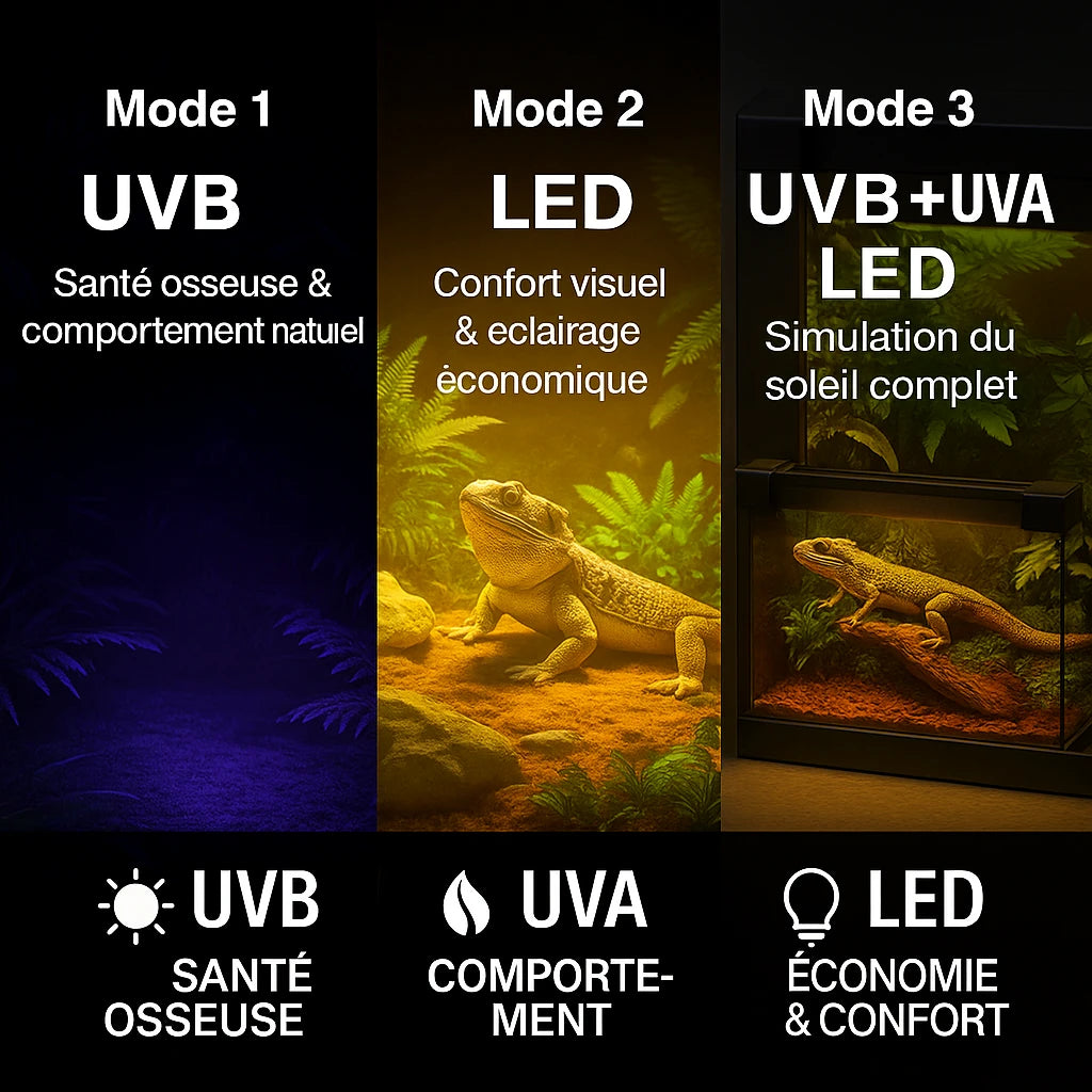 Lampe UVB 10.0 à Spectre Complet pour Terrarium