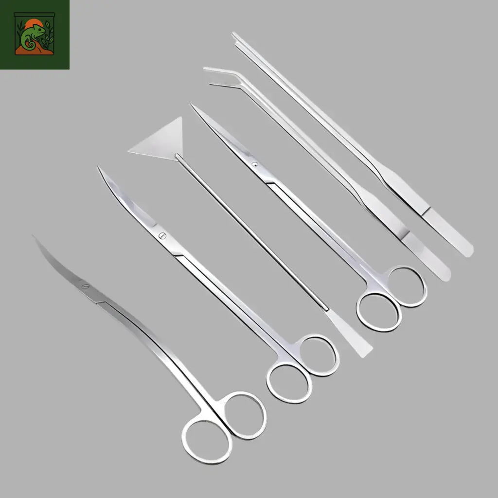 Outils Inox pour Terrarium