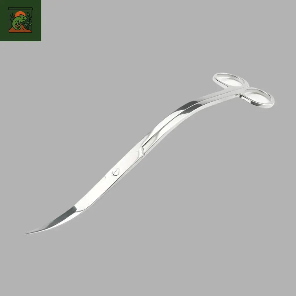 Outils Inox pour Terrarium