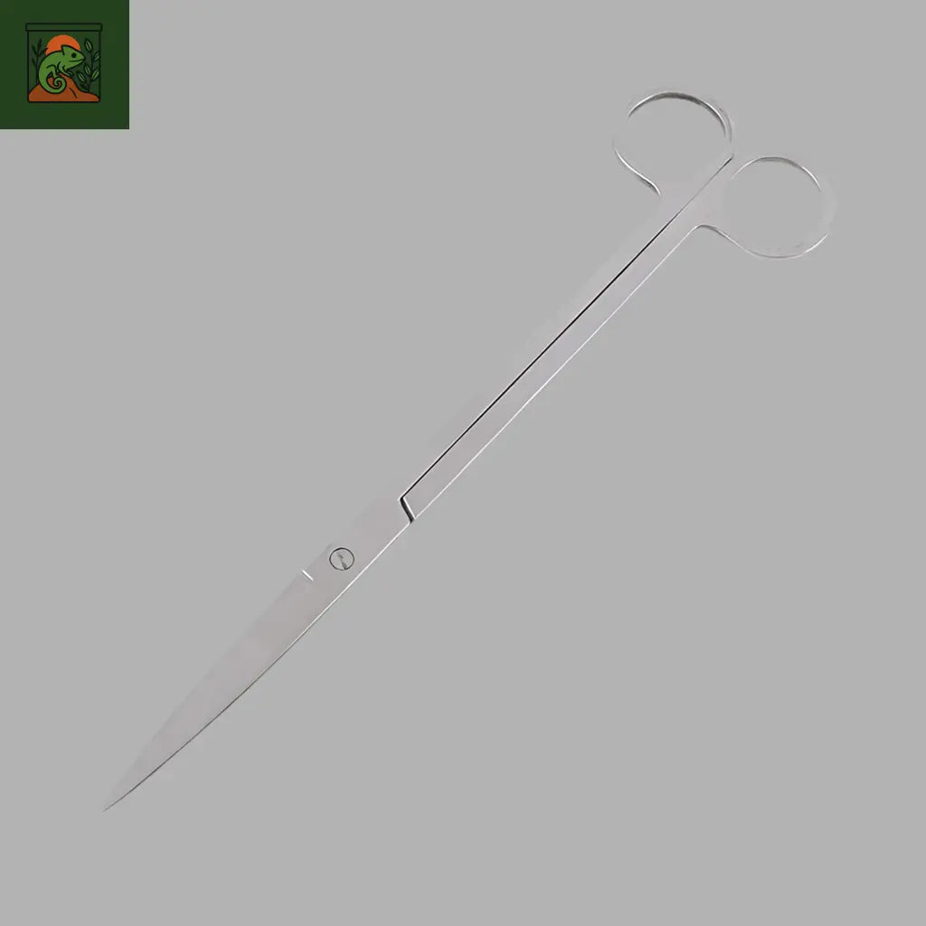 Outils Inox pour Terrarium