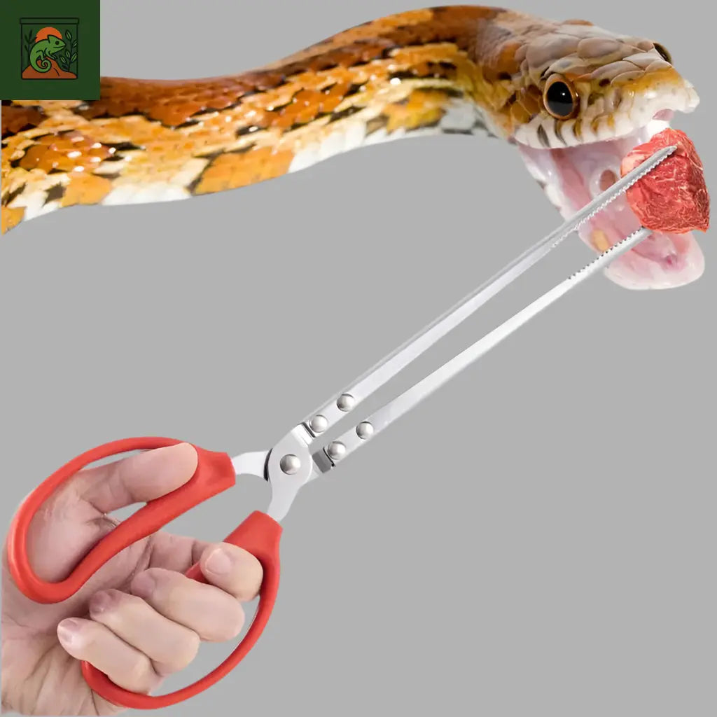 Pinces d’Alimentation Longues pour Serpents et Reptiles