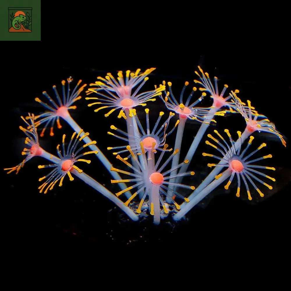 Plante Corail Fluorescente en Silicone pour Terrarium Aquatique – Décoration Lumineuse (1 pièce) - LeTerrarium