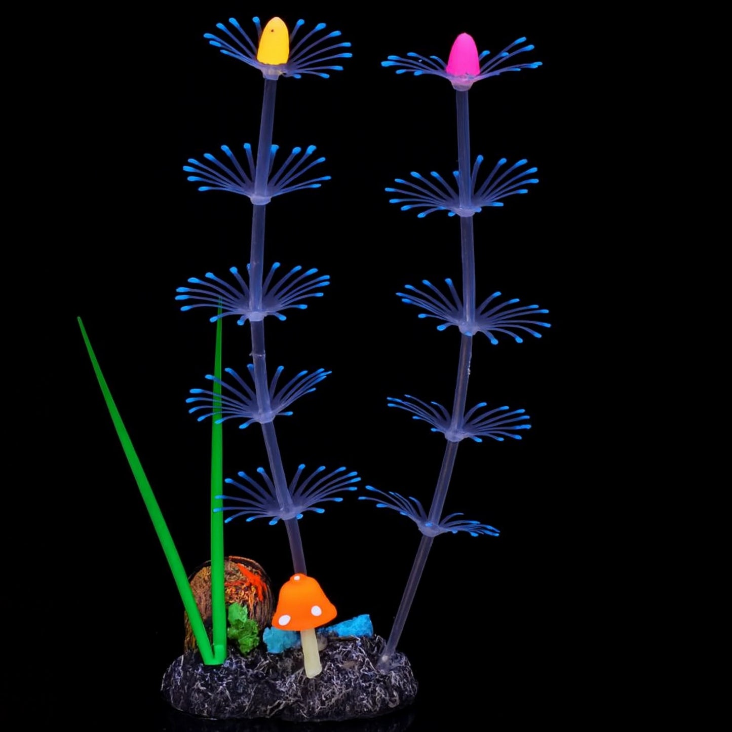 Plante Corail Fluorescente pour Terrarium