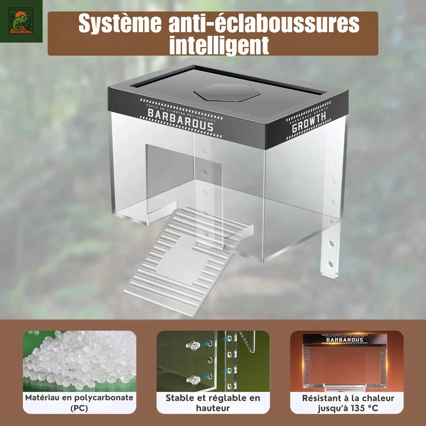Plateforme de Basking pour Tortues – Transparent avec Rampe Antidérapante