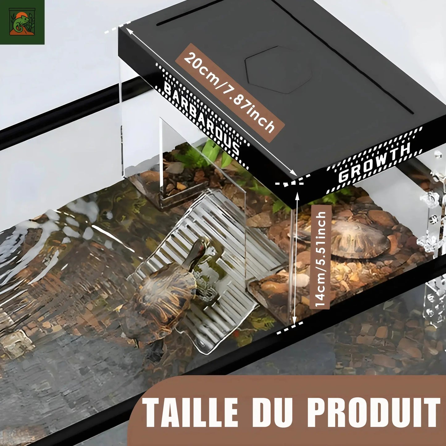 Plateforme de Basking pour Tortues – Transparent avec Rampe Antidérapante