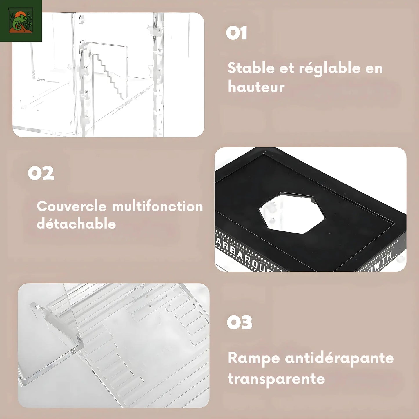 Plateforme de Basking pour Tortues – Transparent avec Rampe Antidérapante