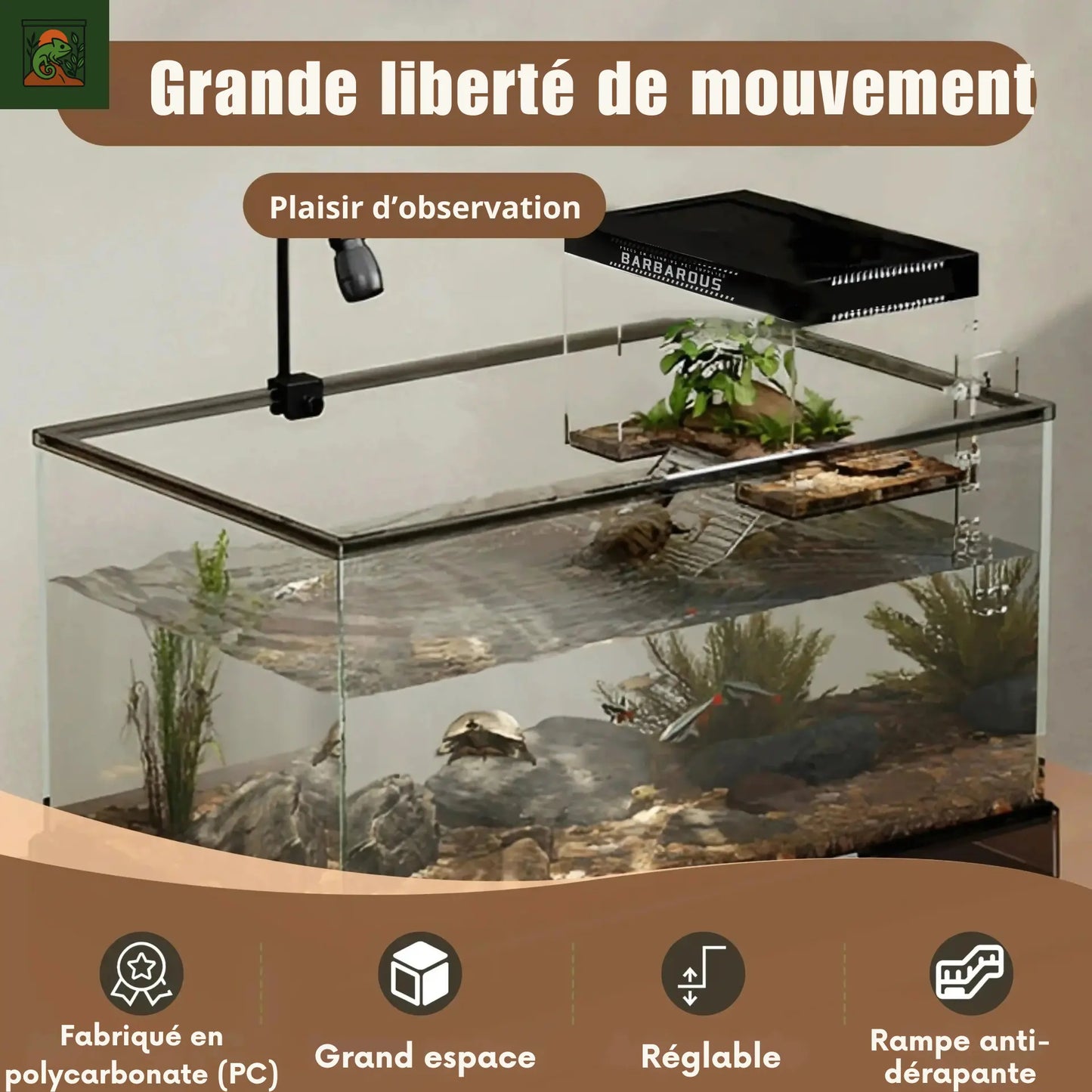Plateforme de Basking pour Tortues – Transparent avec Rampe Antidérapante