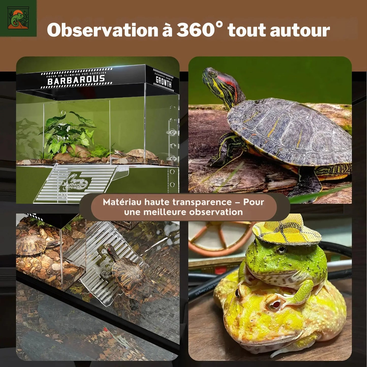 Plateforme de Basking pour Tortues – Transparent avec Rampe Antidérapante