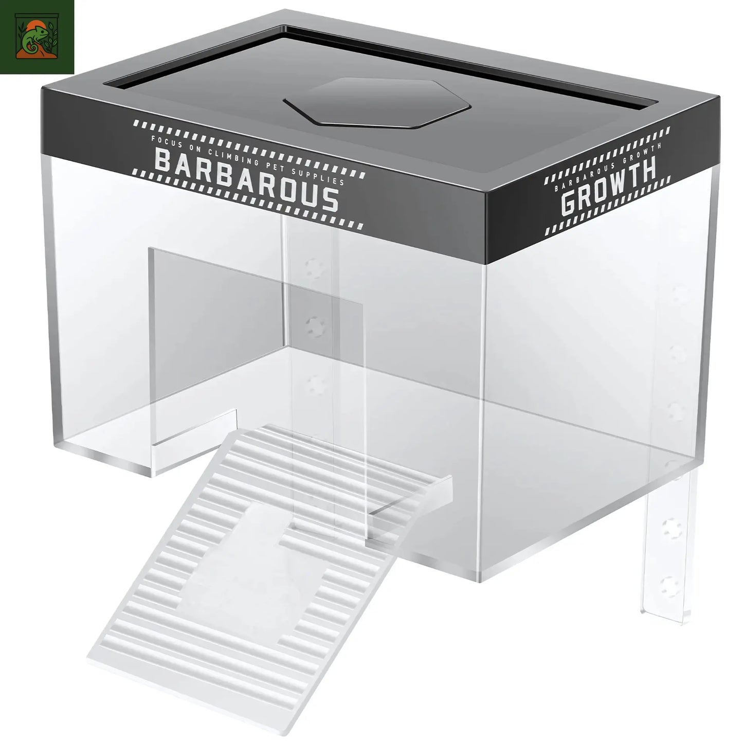 Plateforme de Basking pour Tortues – Transparent avec Rampe Antidérapante