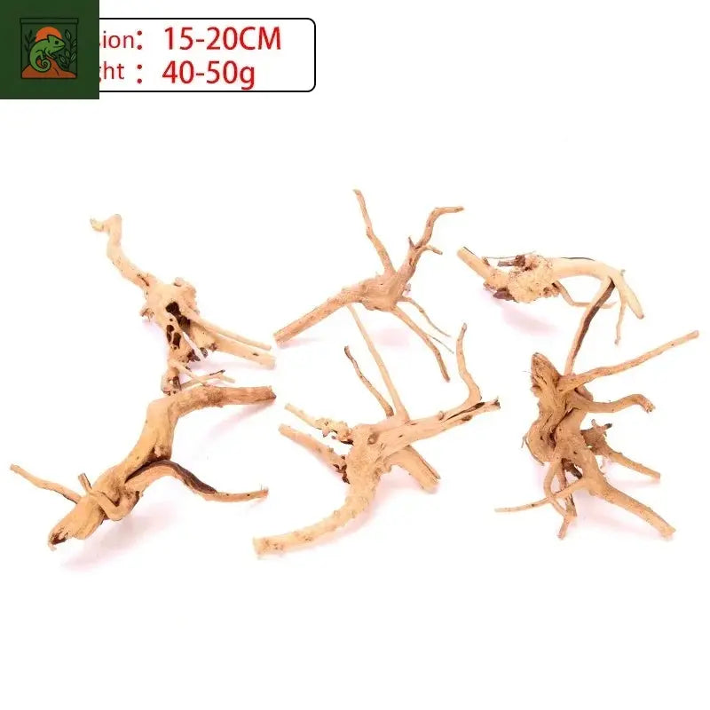Terrarium amphibien araignée, bois, paysage, plante d'aquarium, décoration en bois, tronc d'arbre naturel, décor en bois flotté, lézard