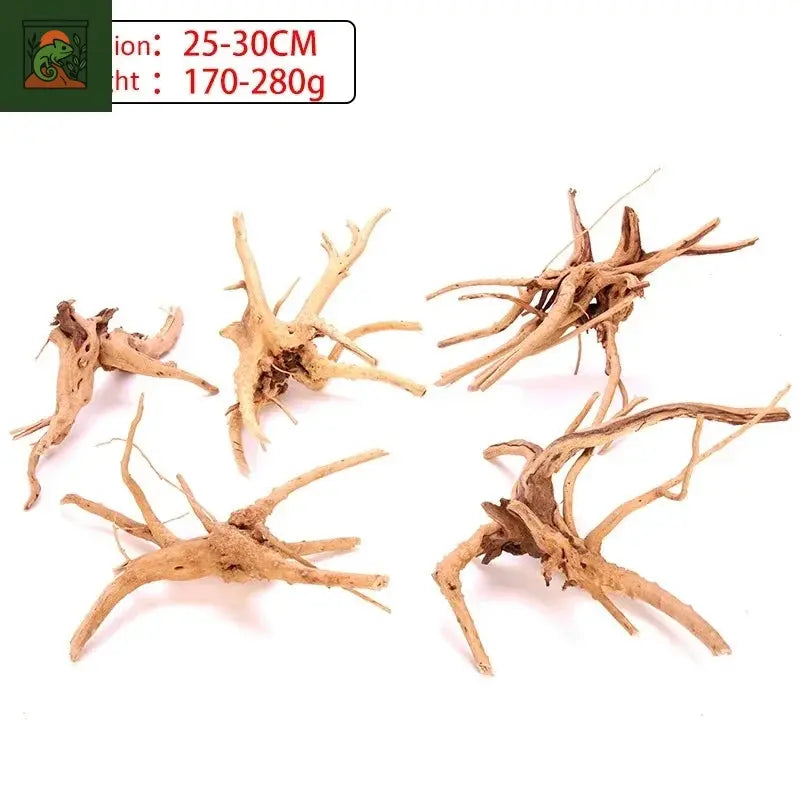Terrarium amphibien araignée, bois, paysage, plante d'aquarium, décoration en bois, tronc d'arbre naturel, décor en bois flotté, lézard
