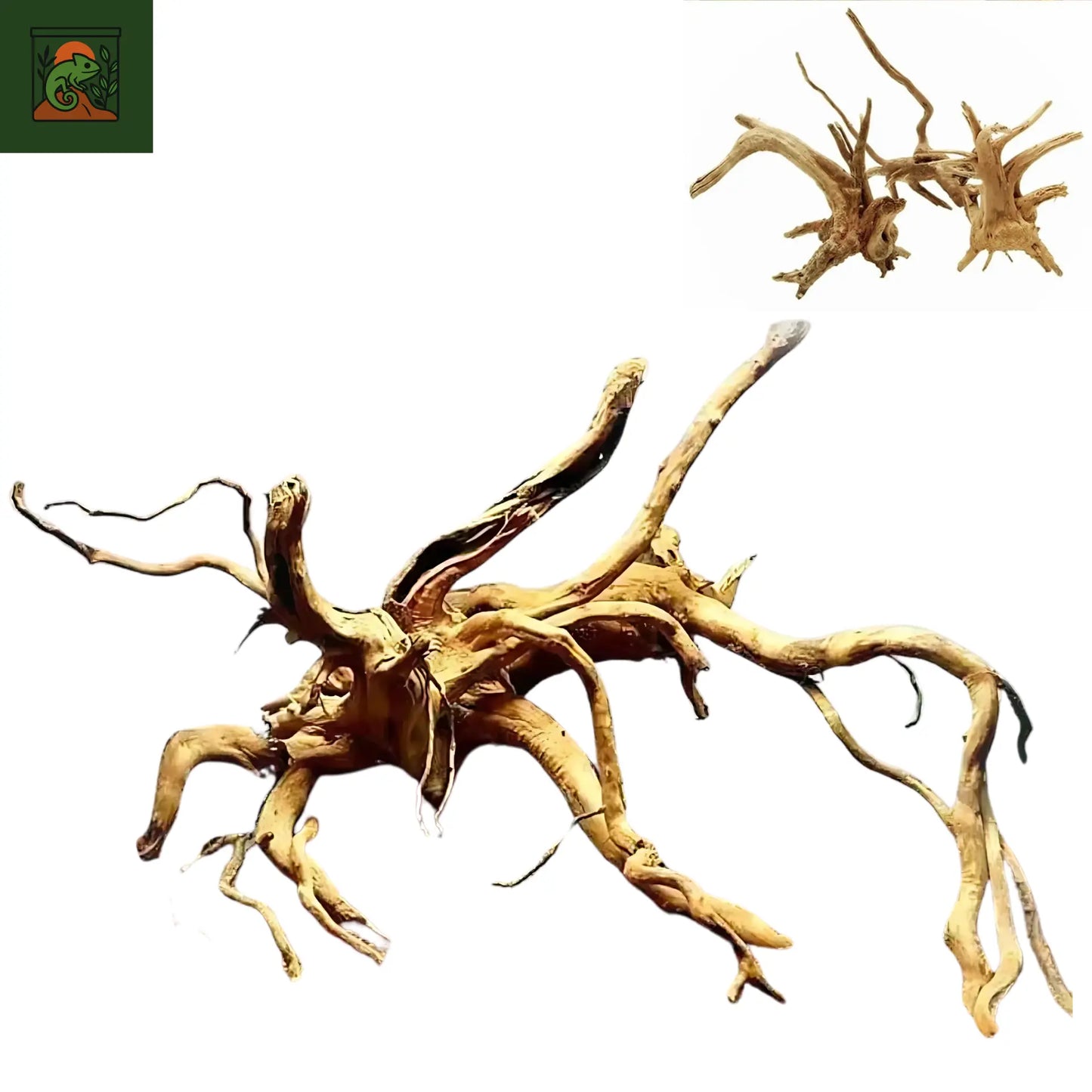 Racines Naturelles en Bois pour Terrarium