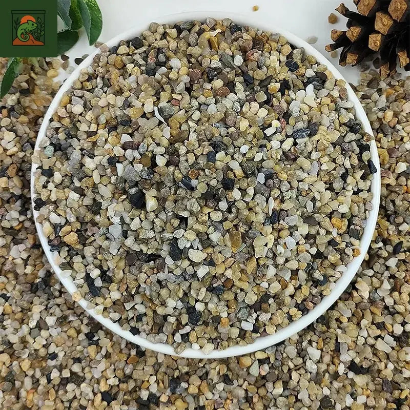 Gravier de sable à ruisseau naturel 500G, aménagement paysager des galets, accessoires d'aquarium, réservoirs de tortue, sable à fond décoratif
