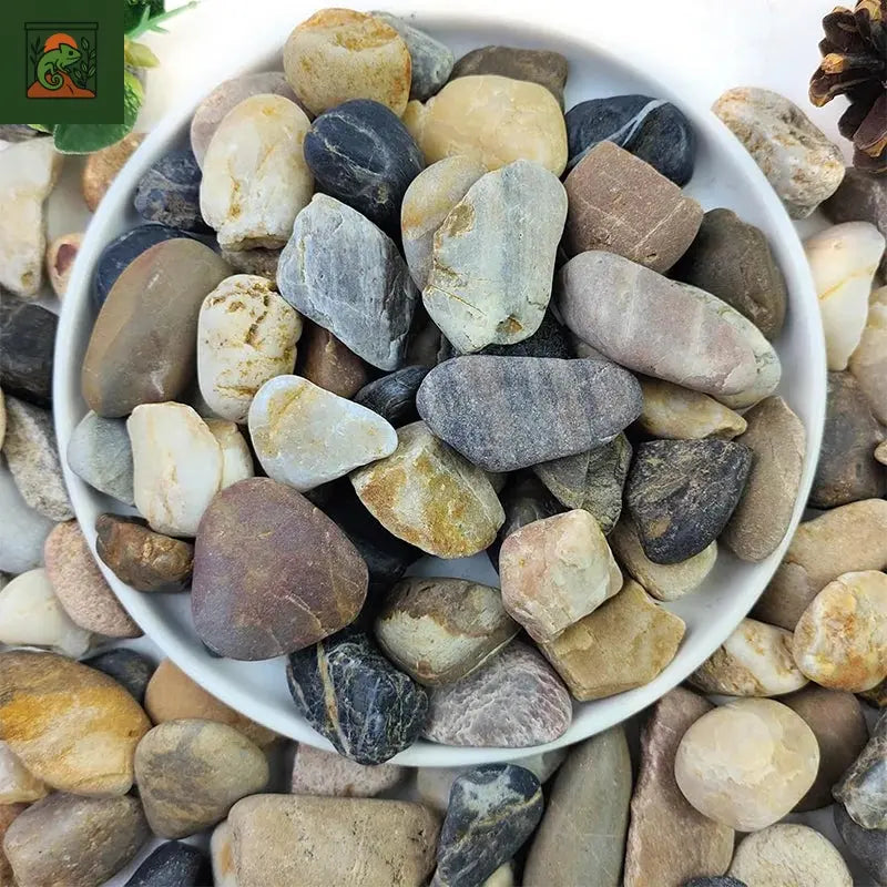 Gravier de sable à ruisseau naturel 500G, aménagement paysager des galets, accessoires d'aquarium, réservoirs de tortue, sable à fond décoratif