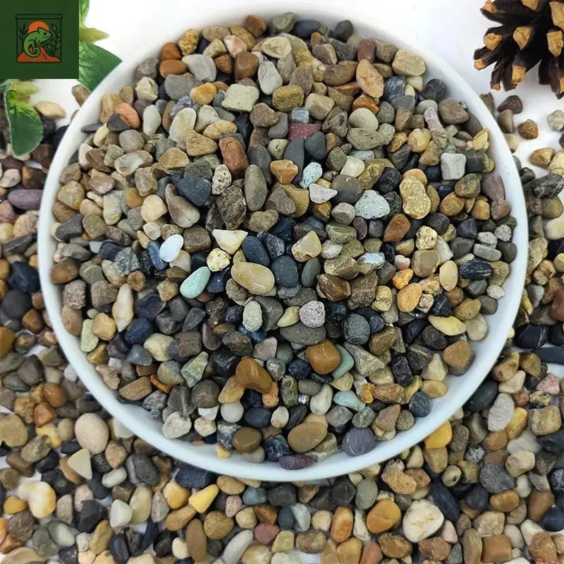 Gravier de sable à ruisseau naturel 500G, aménagement paysager des galets, accessoires d'aquarium, réservoirs de tortue, sable à fond décoratif