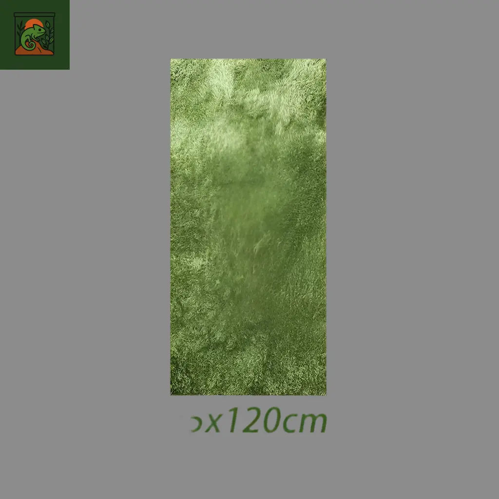 Tapis de Fond en Mousse Naturelle pour Terrarium