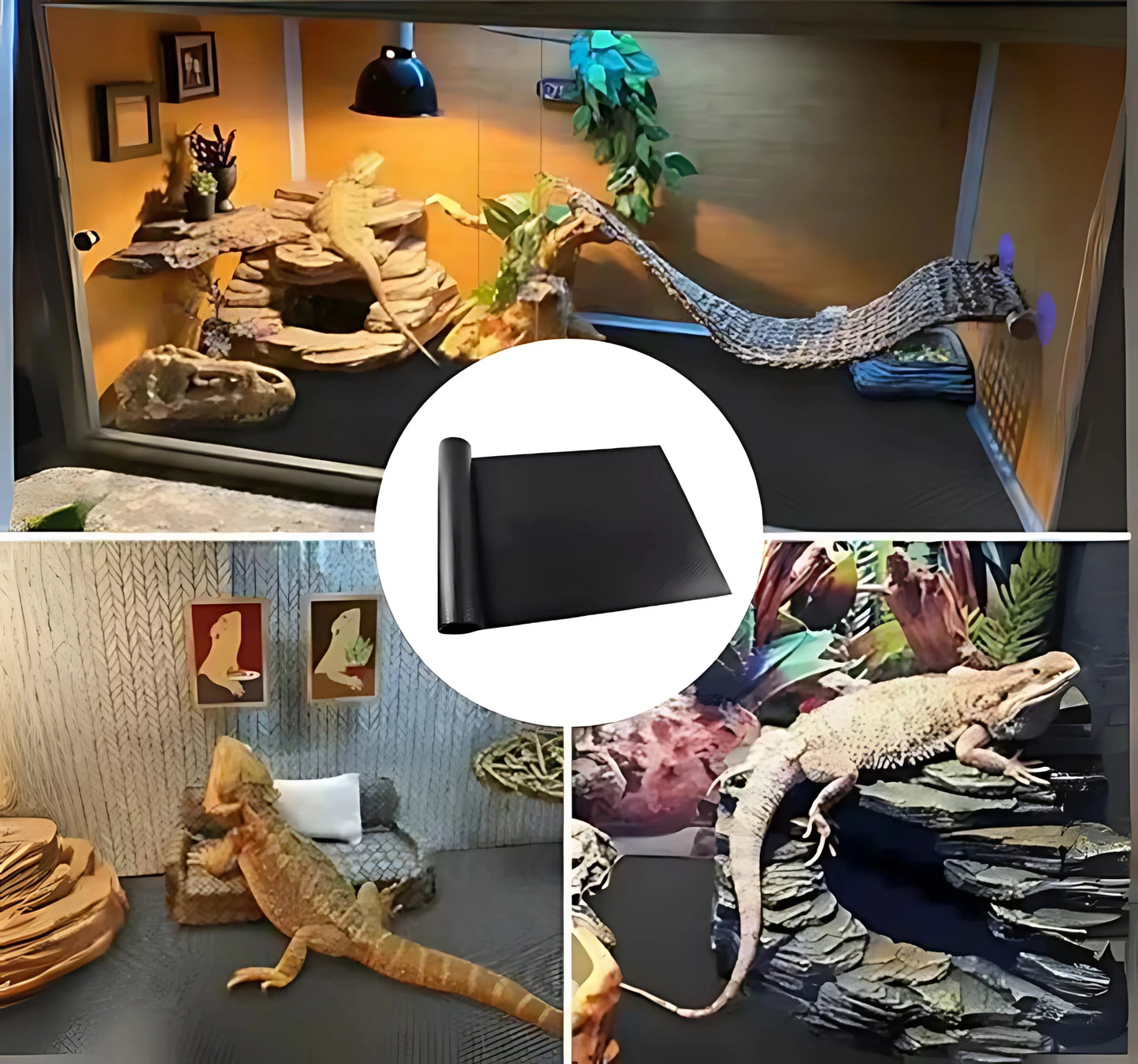 Tapis de Terrarium en EVA