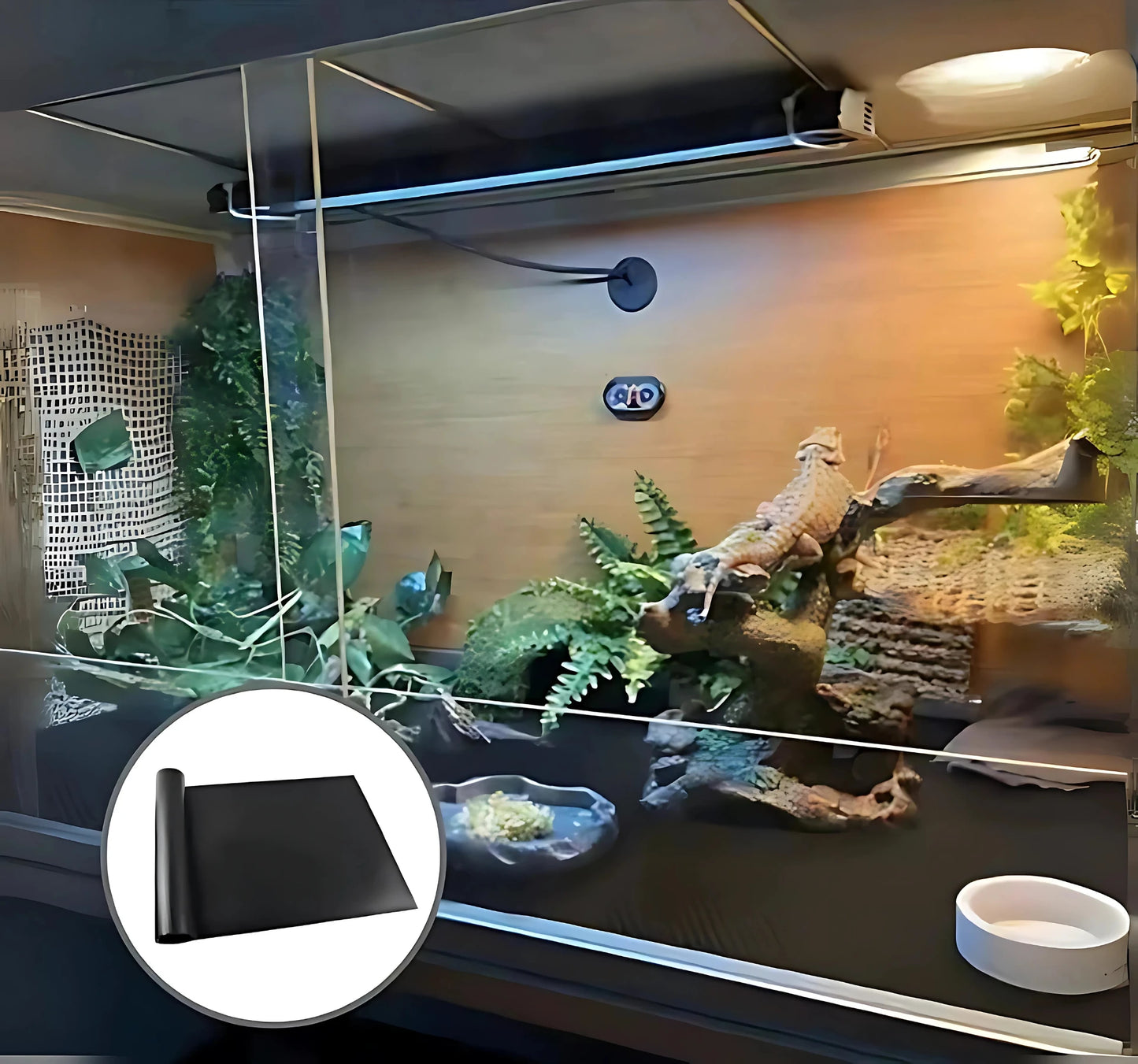 Tapis de Terrarium en EVA