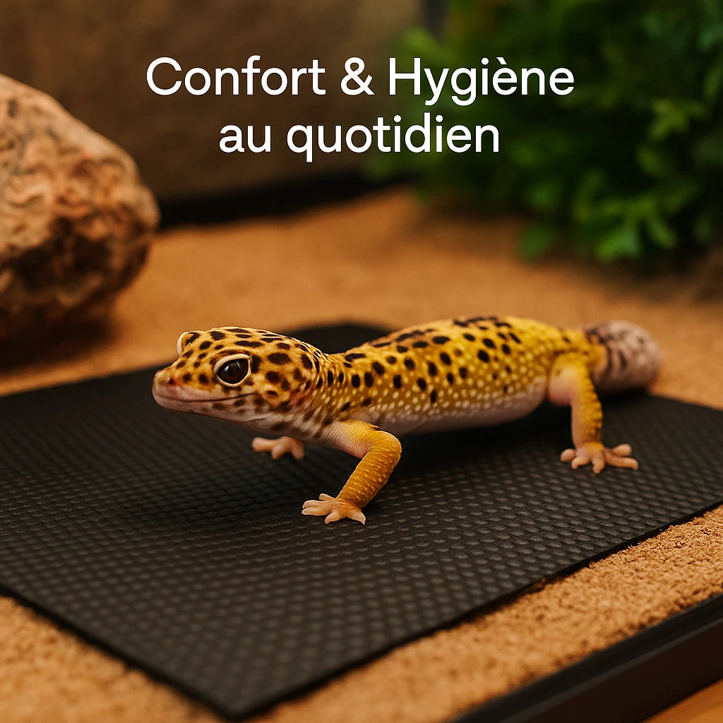 Tapis de Terrarium en EVA