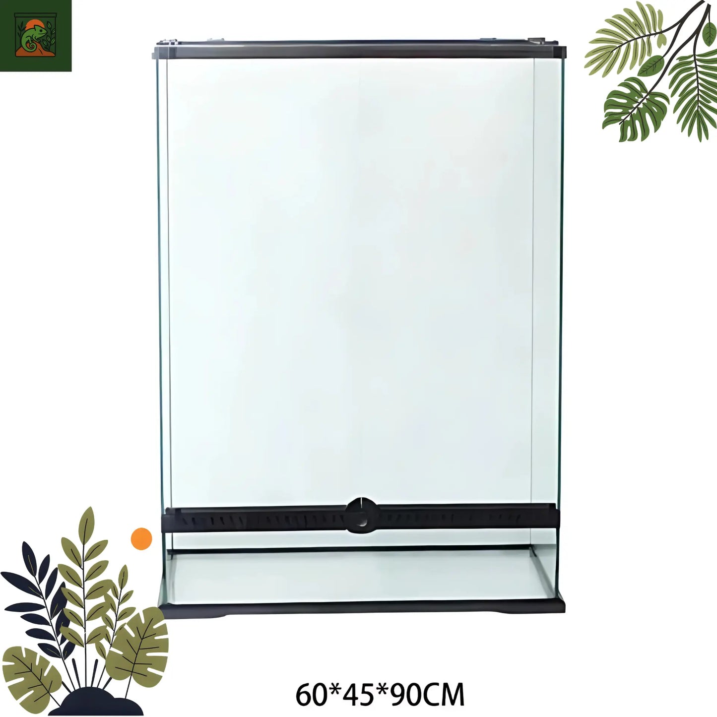 Terra en Verre pour Reptiles et Amphibiens – Habitat Tropical Sécurisé