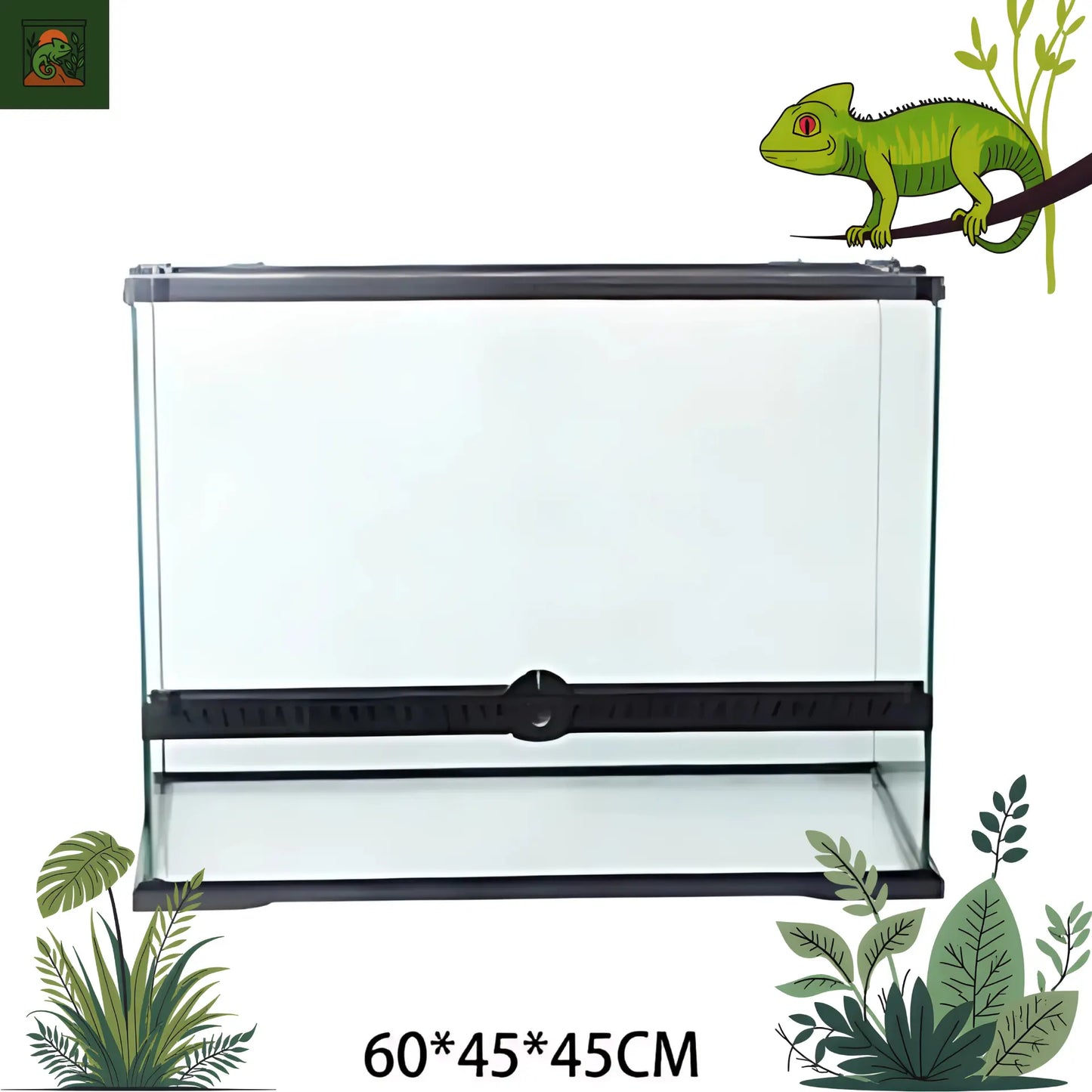 Terra en Verre pour Reptiles et Amphibiens – Habitat Tropical Sécurisé