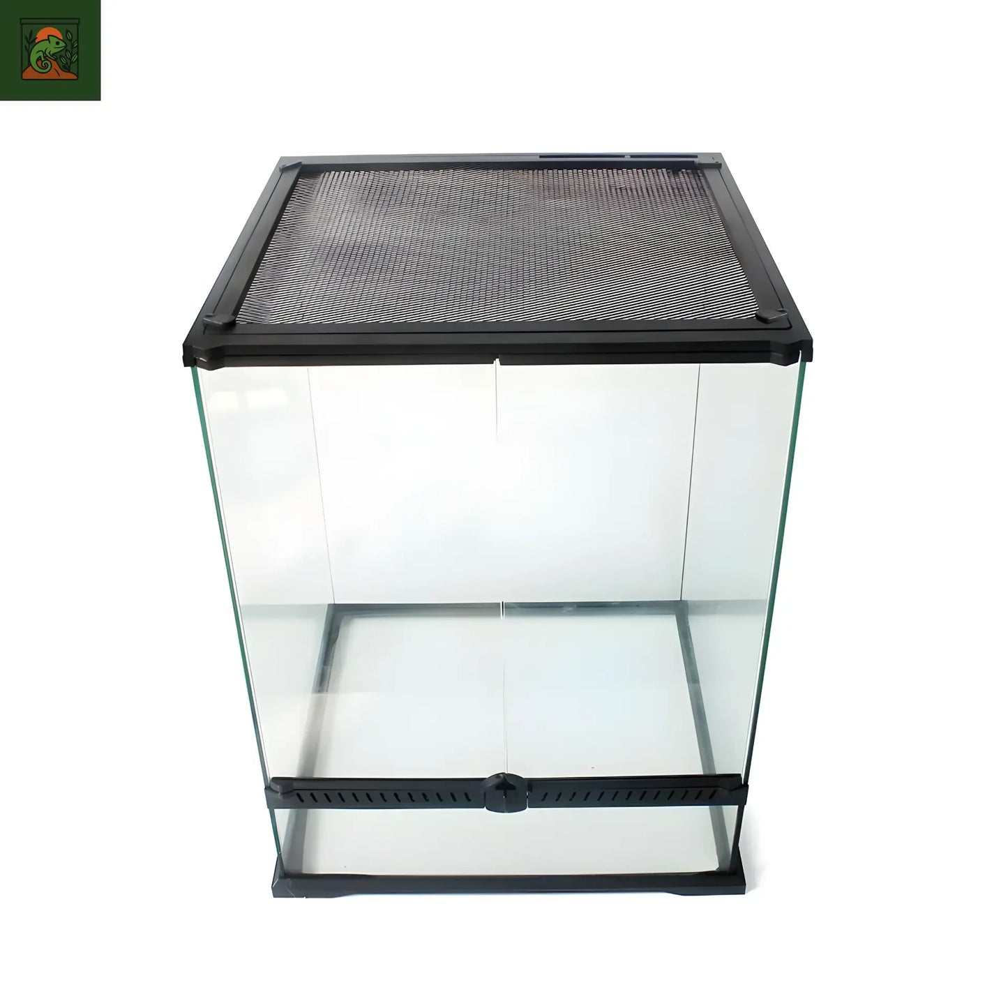Terra en Verre pour Reptiles et Amphibiens – Habitat Tropical Sécurisé