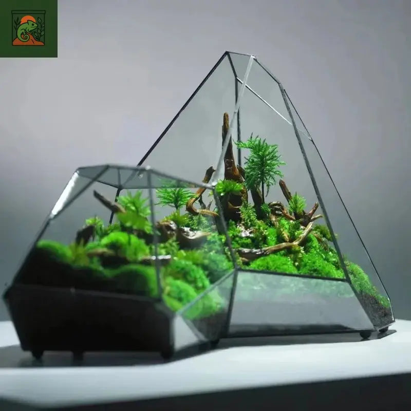 Micro Vase en verre de paysage, Terrarium de forêt tropicale, jardinière de mousse, Vase écologique, décoration de maison, Vase hydroponique géométrique en verre pour salle de fleurs