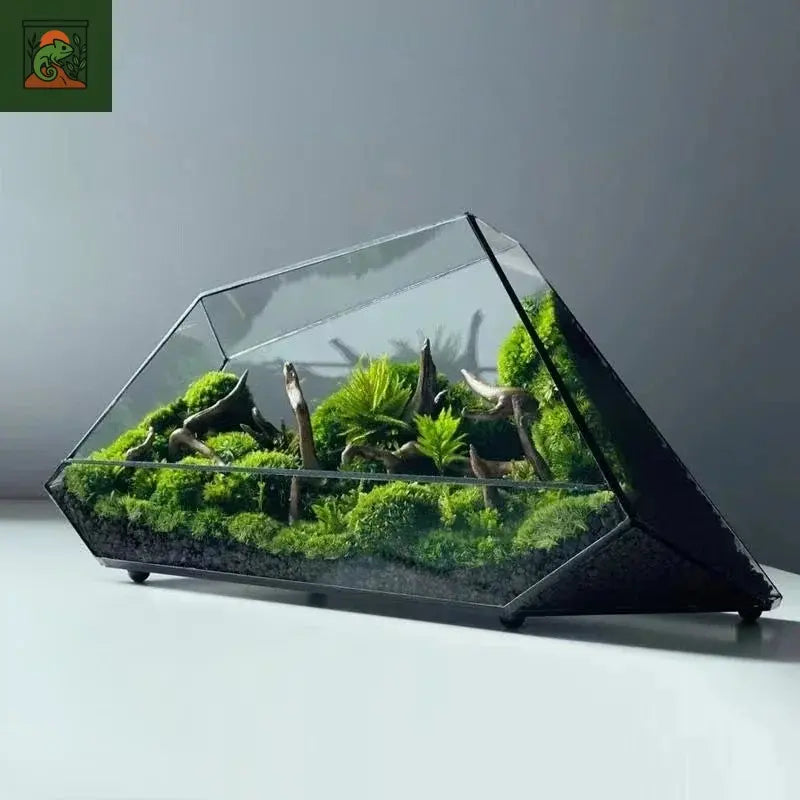 Micro Vase en verre de paysage, Terrarium de forêt tropicale, jardinière de mousse, Vase écologique, décoration de maison, Vase hydroponique géométrique en verre pour salle de fleurs