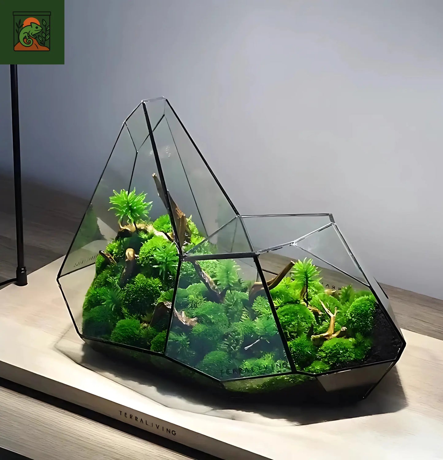Terrarium Biosphère en verre – style moderne et géométrique
