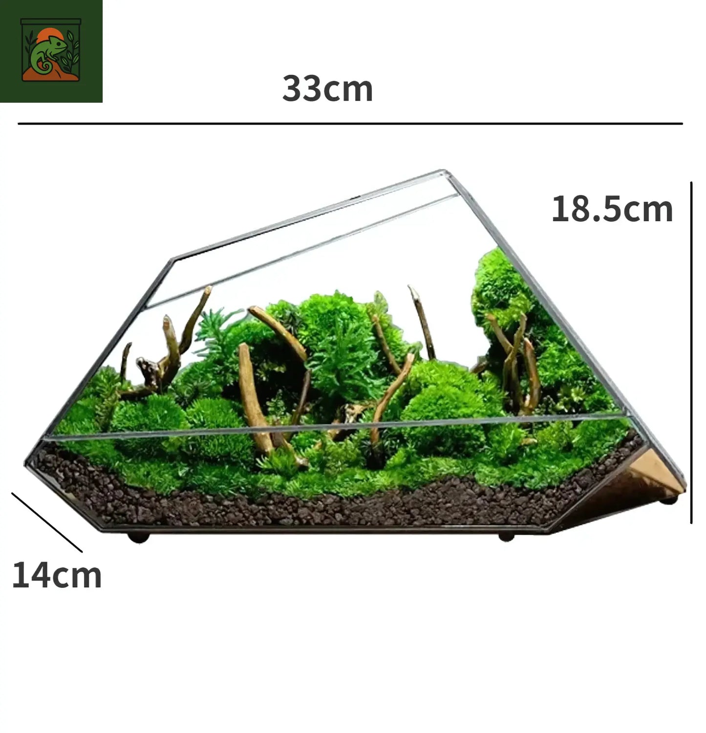 Terrarium Biosphère en verre – style moderne et géométrique