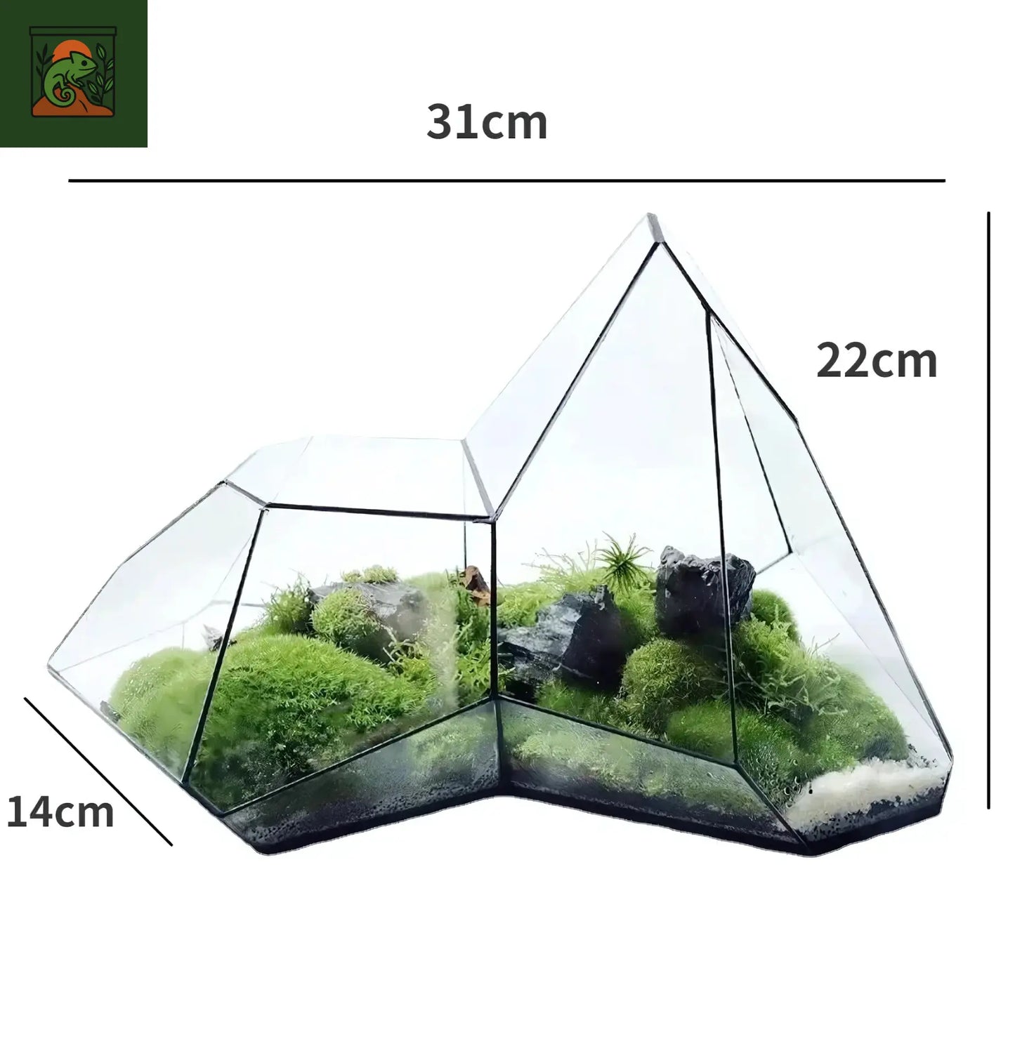 Terrarium Biosphère en verre – style moderne et géométrique