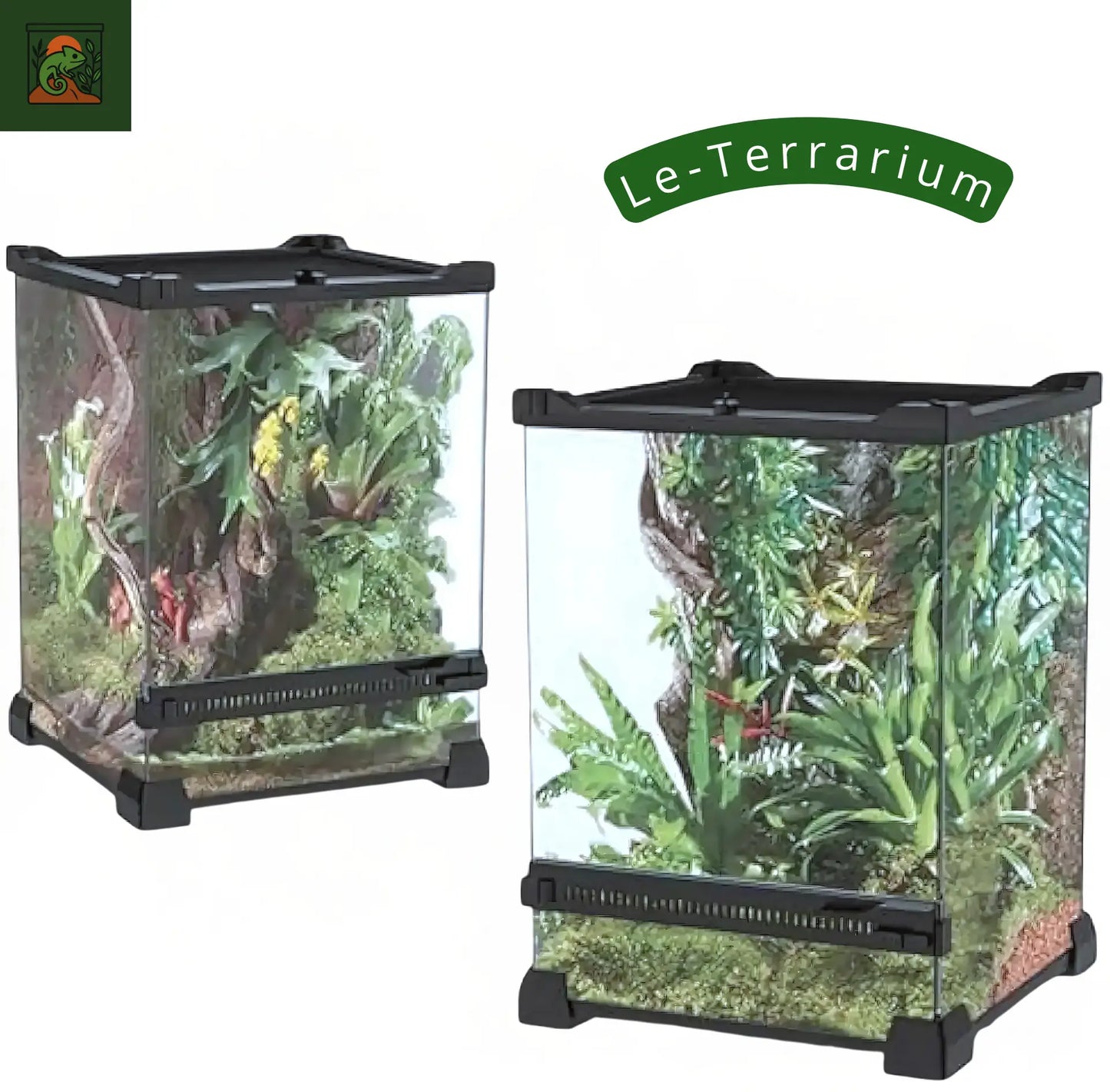 Terrarium Boîte d’Élevage