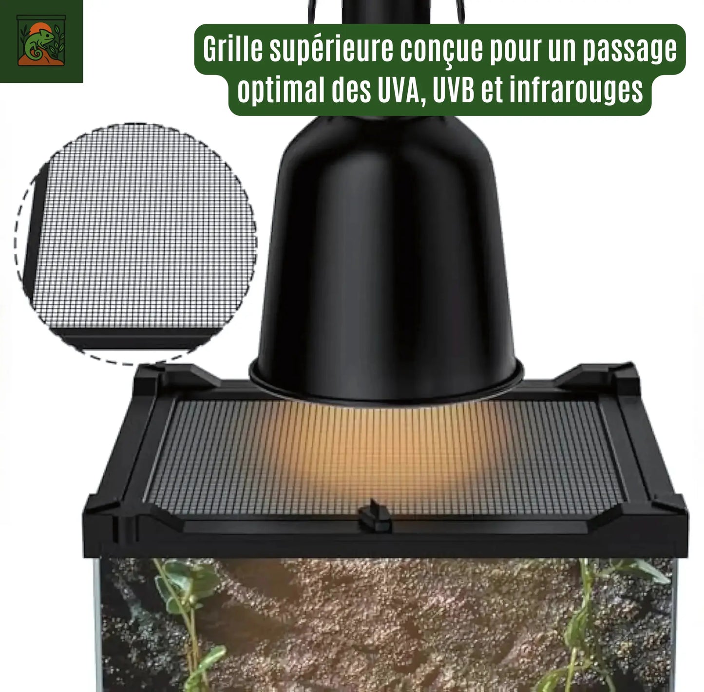 Terrarium Boîte d’Élevage