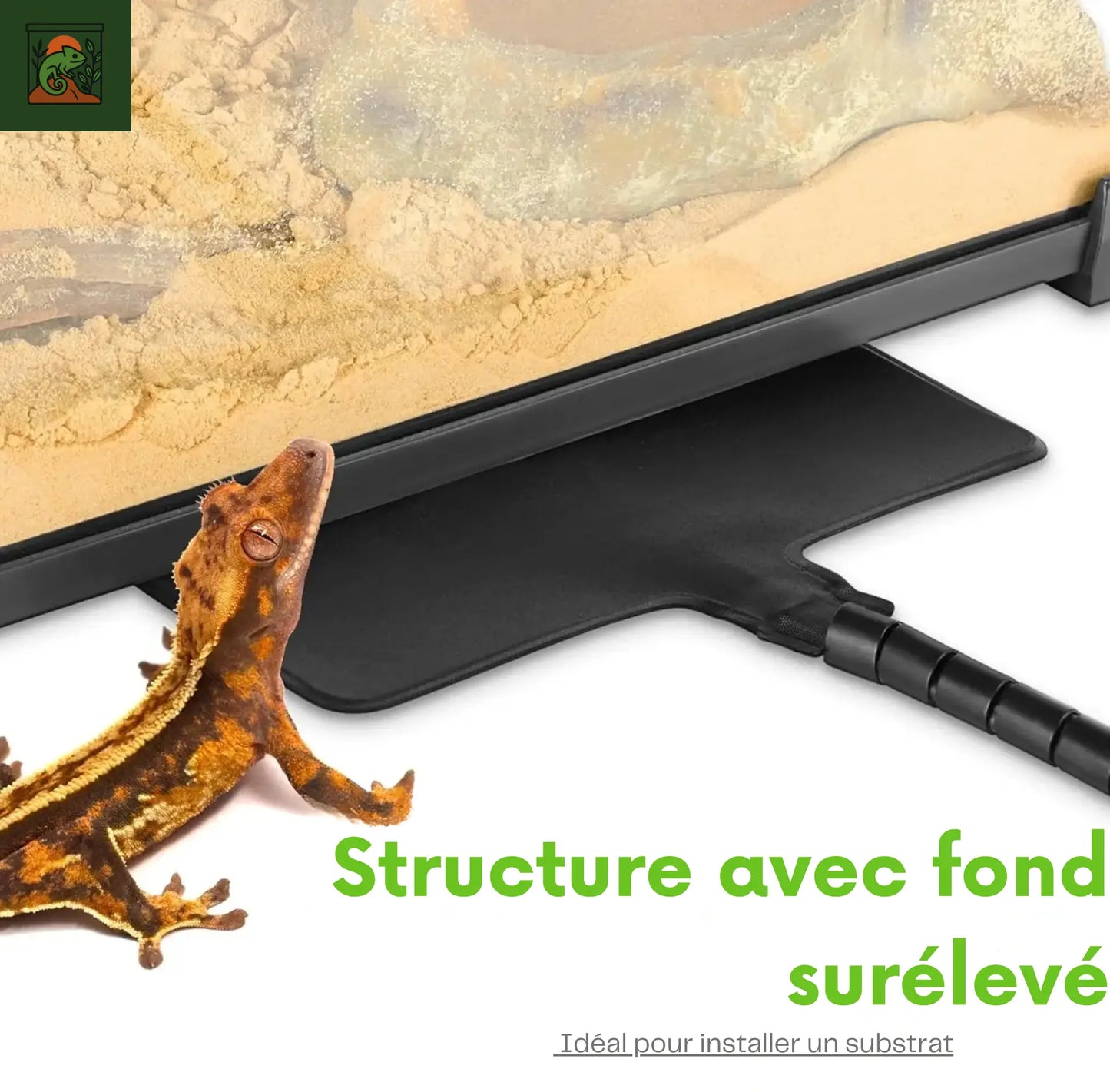 Terrarium Boîte d’Élevage