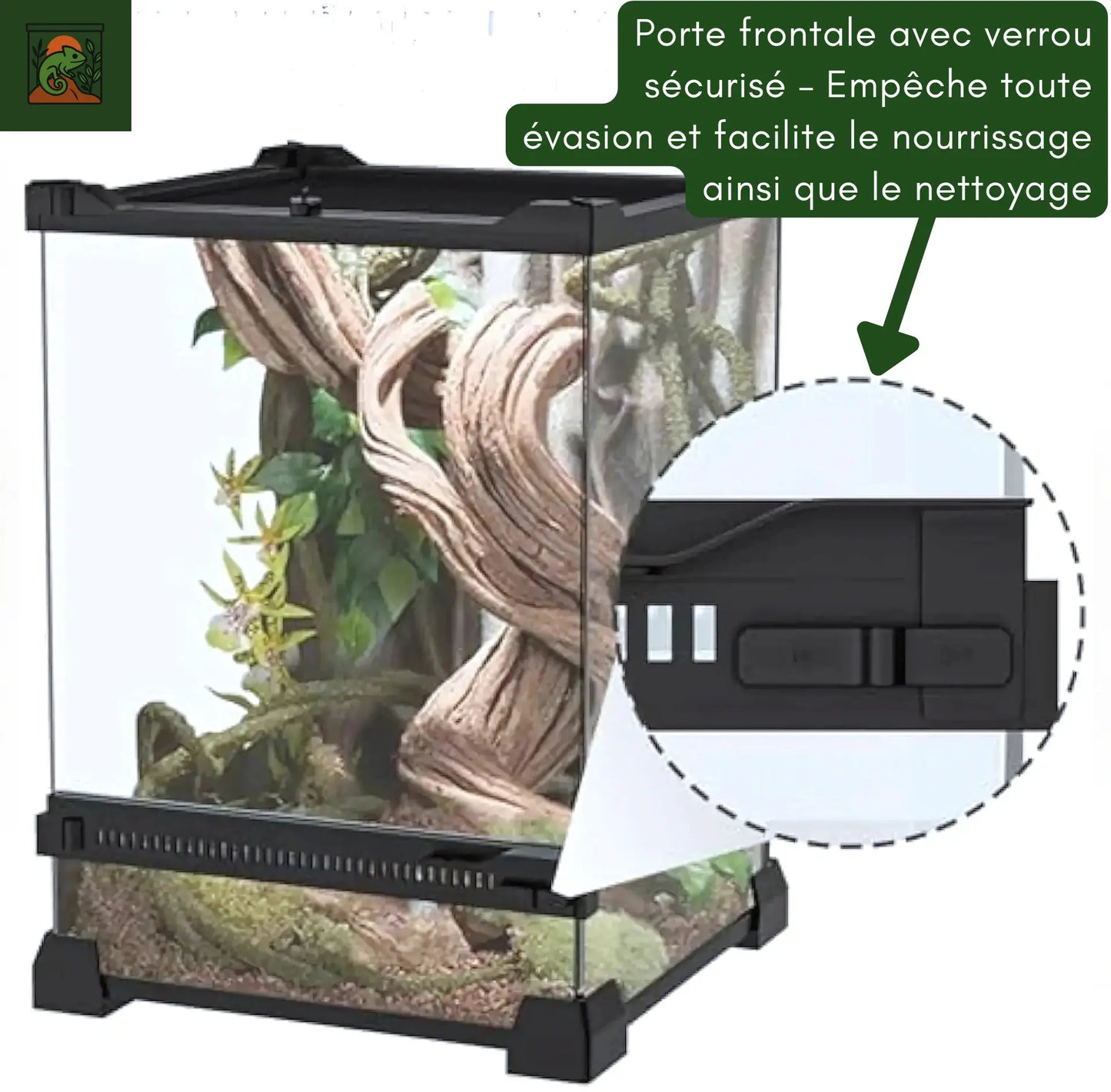 Terrarium Boîte d’Élevage