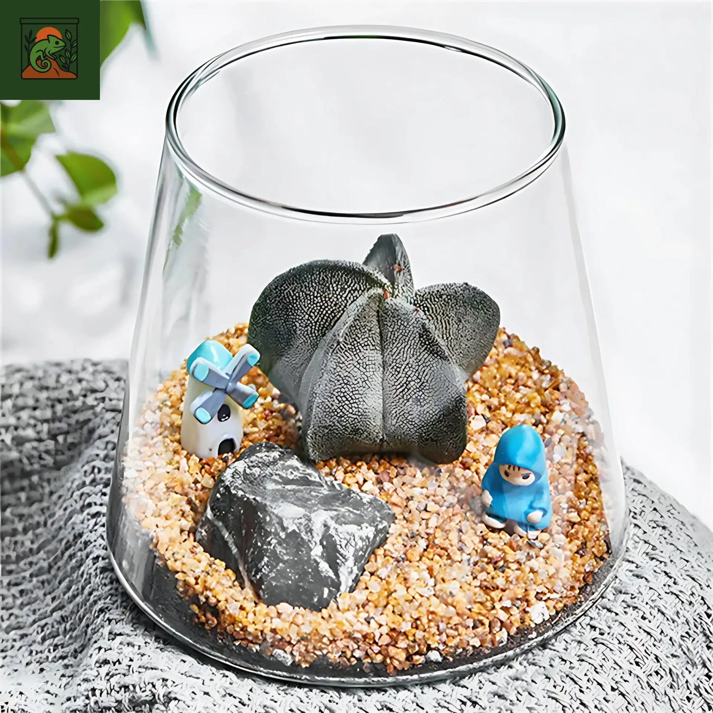 Terrarium Écosphère - Vase en verre moderne pour micro-paysage