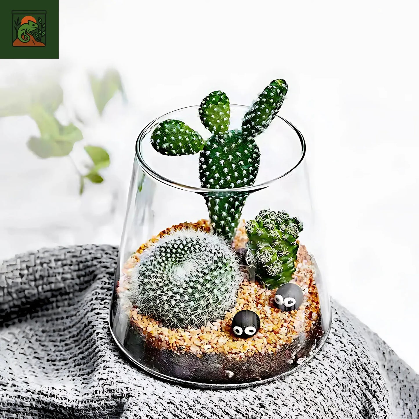 Terrarium Écosphère - Vase en verre moderne pour micro-paysage