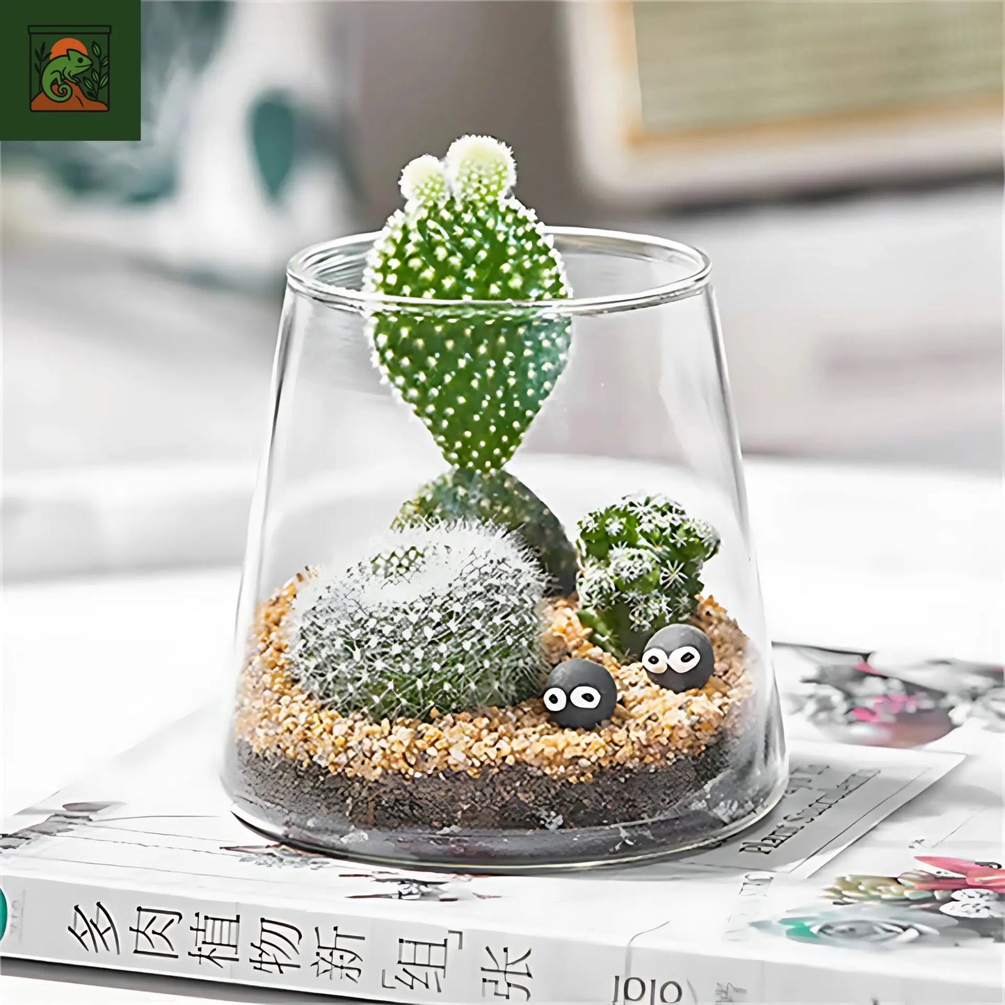 Terrarium Écosphère - Vase en verre moderne pour micro-paysage