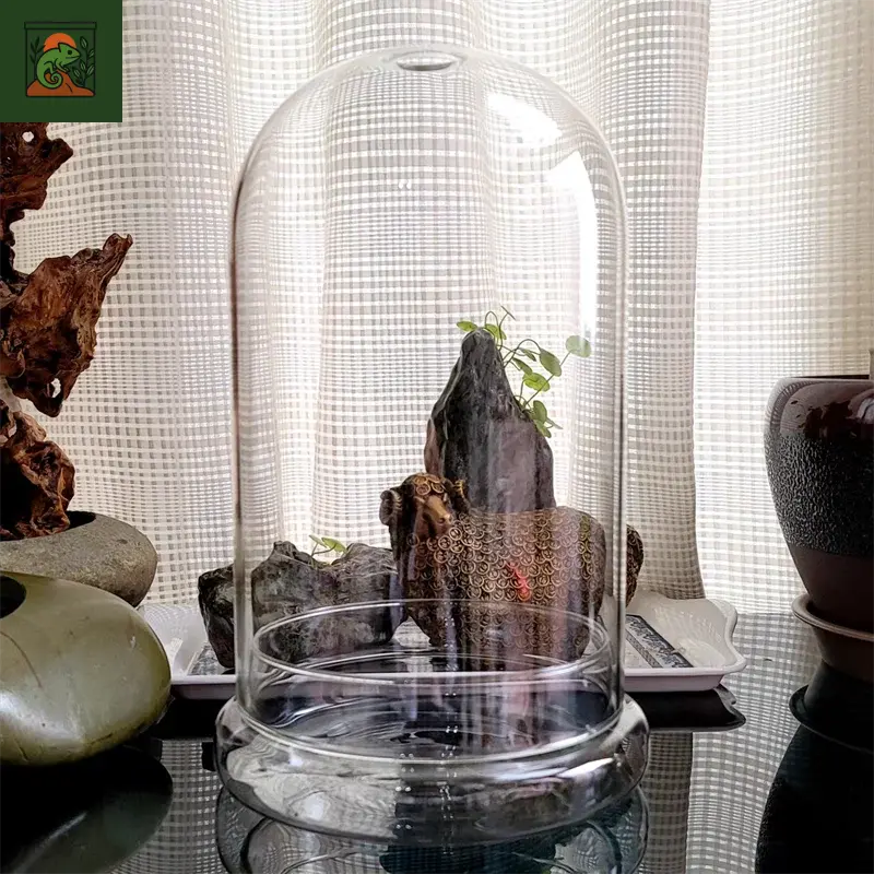 Vase en verre HI Succulent avec couvercle en verre breton créatif, micro mousse succulente, terrarium de paysage, décoration de la maison