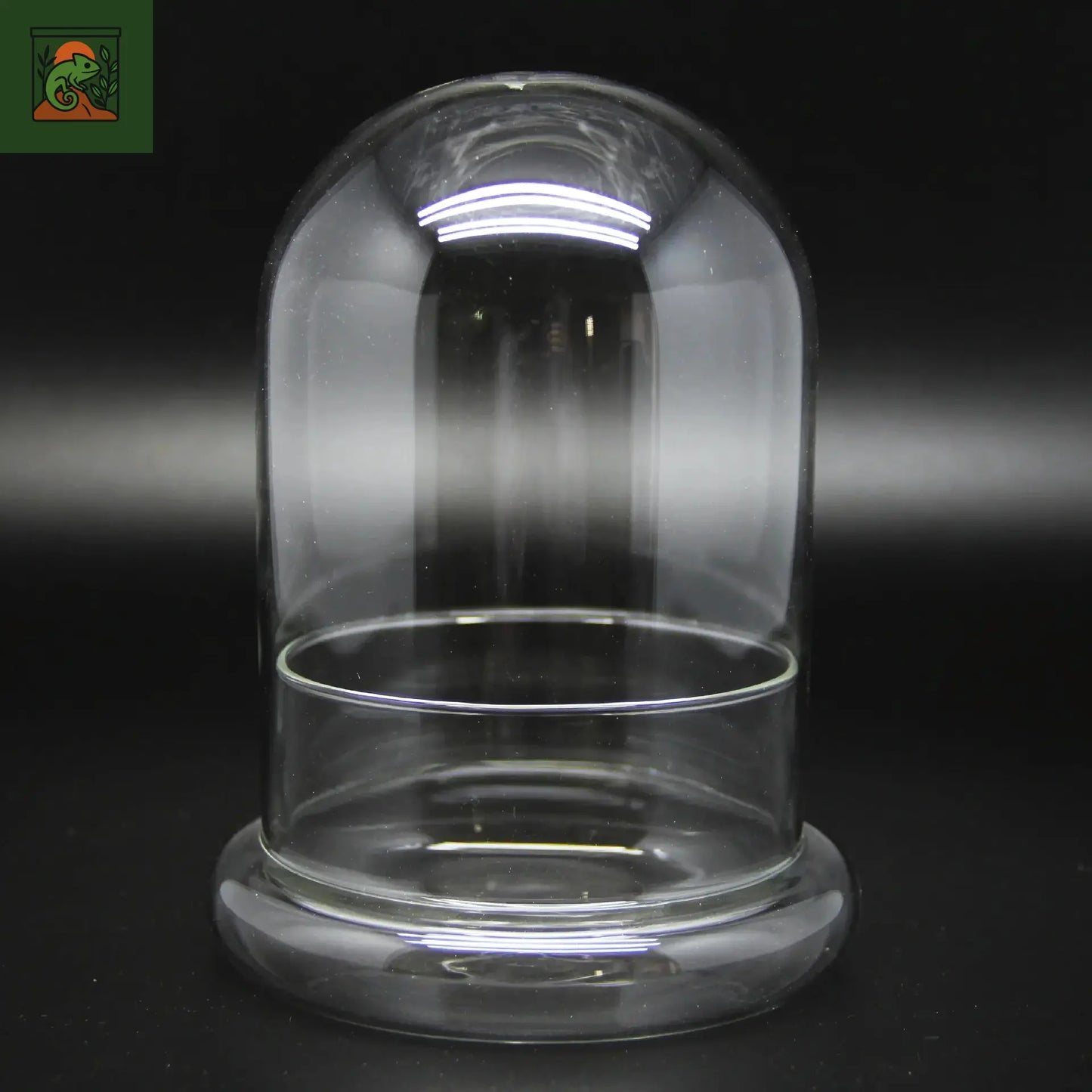 Terrarium Plante Dôme en Verre – Couvercle Créatif & Style Naturel