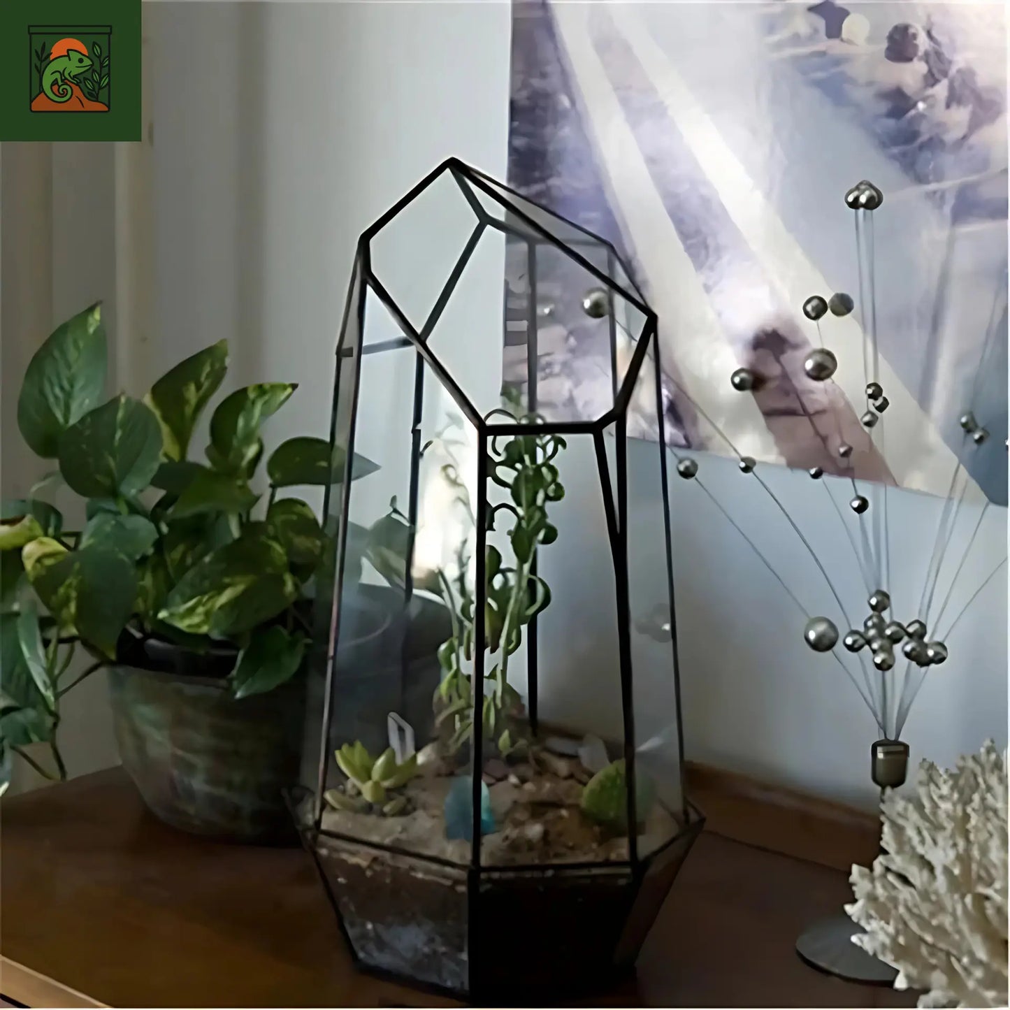 Terrarium Plante Géométrique