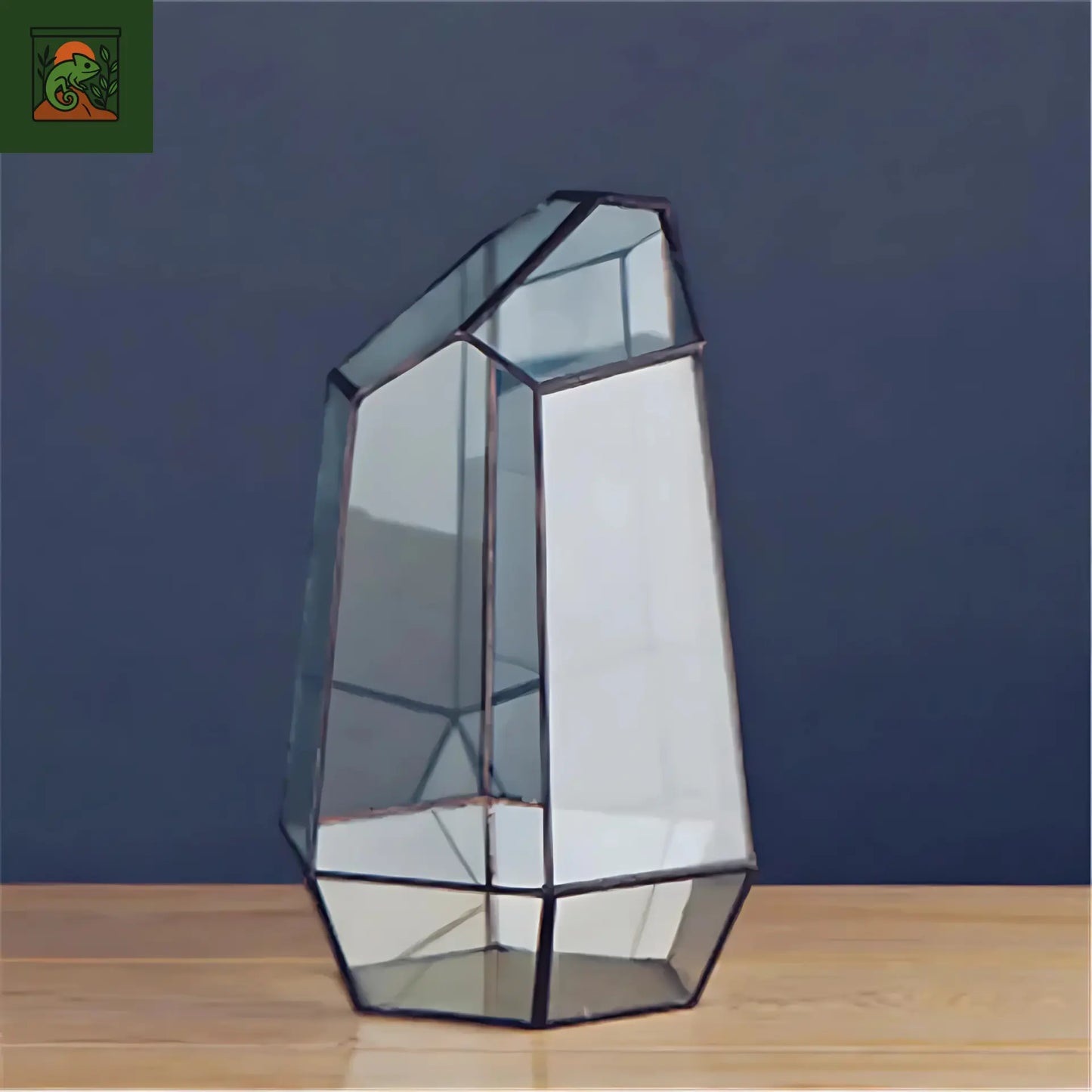 Terrarium Plante Géométrique